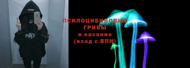 наркотики Зеленокумск