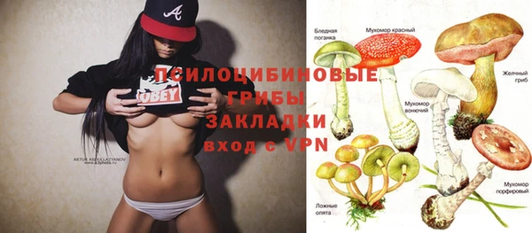 скорость Зеленодольск