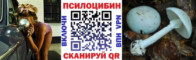 Псилоцибиновые грибы Cubensis  Купить где  Баксан 